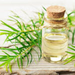 The Magic of Tea Tree Oil for Hair: Benefits and Uses in Pakistan