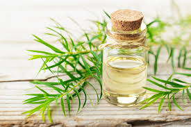 The Magic of Tea Tree Oil for Hair: Benefits and Uses in Pakistan