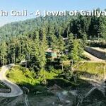 Nathia Gali Tour: The Ultimate Guide to a Refreshing Escape